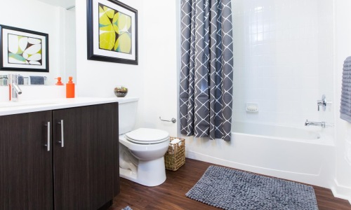 a bathroom with a shower curtain